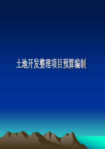 第七讲土地开发整理项目预算编制