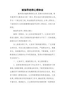 被指导老师心得体会