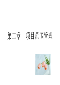 第二章项目范围管理