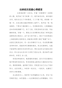 出纳初次实践心得感言