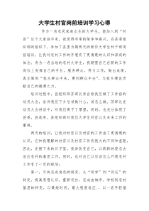 大学生村官岗前培训学习心得