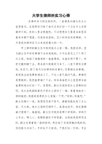 大学生律师所实习心得_1