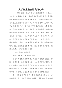 大学生企业会计实习心得