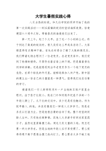 大学生暑假实践心得