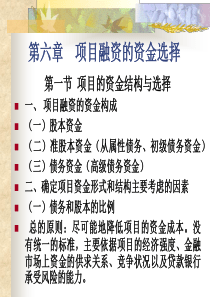 第六章项目融资的筹资方式