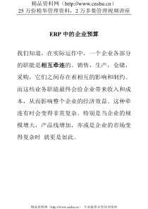 ERP中的企业预算（DOC12页）