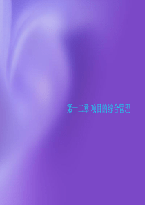 第十二章项目的综合管理