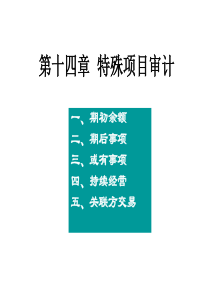 第十四章特殊项目审计