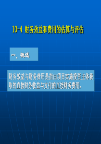 第十章项目财务效益评估2