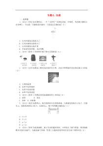 中考物理复习专题练习：专题9+压强（全国通用）