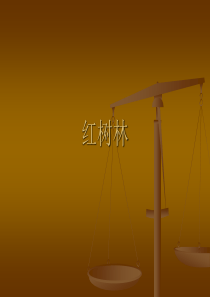 红树林项目讲座（原创）