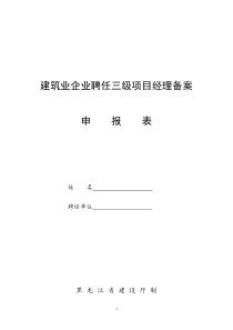 级项目经理聘任申报表