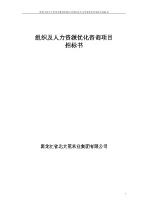 组织及人力资源优化咨询项目