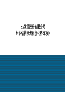 组织结构及流程优化咨询项目