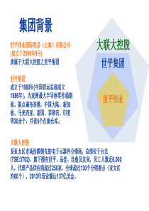 细分行业项目方案（PDF30页）