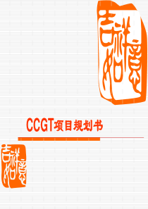 经典CCGT项目规划书