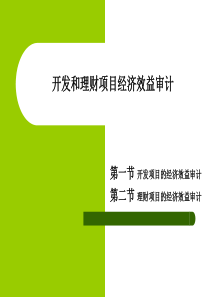 经济效益审计(第十(开发项目和理财项目)