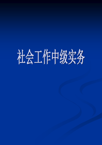 技能培训 社会工作中级实务 练习