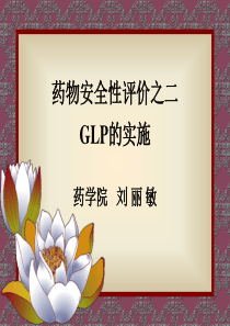 2GLP的实施、运作和管理文稿