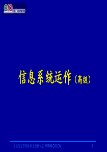 CIO企业信息管理师信息系统运作(高级)