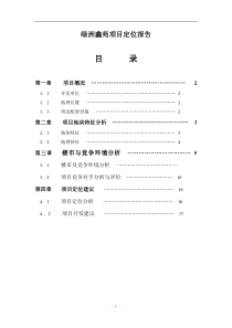 绿洲鑫苑项目定位报告(1)