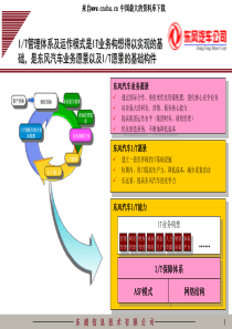 IT体系及运作模式（PPT 46页）