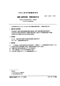 GBT 15907-1995 橡胶、塑料软管 燃烧试验方法