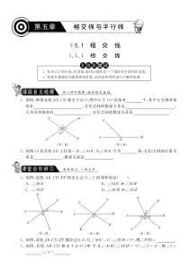 5.1.1相交线课课练习及答案(新人教版七年级下)pdf版