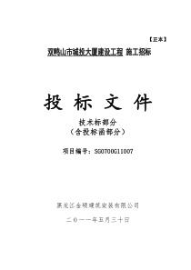 (最新)大地公司环保局办公楼技术标书