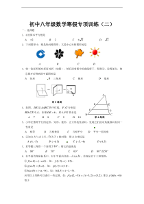 八年级数学寒假专项训练(二)含答案