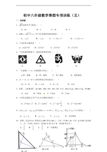 八年级数学寒假专项训练(五)含答案