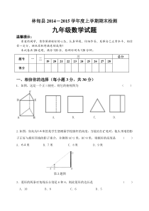 大庆市林甸县2014-2015学年度九年级数学上期末试题及答案