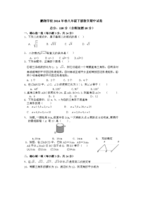 广东省鹏翔学校2014年春八年级下数学期中试卷