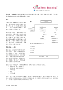 RonaltLimited全球机场运作公司在国际机场运作