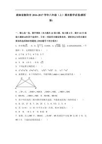 衡阳市2016-2017学年八年级上期末数学试卷含答案解析