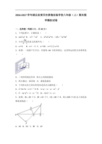 黄梅实验学校2016-2017学年八年级上期末数学模拟试卷含解析