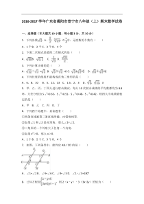 揭阳市普宁市2016-2017学年八年级上期末数学试卷含答案解析