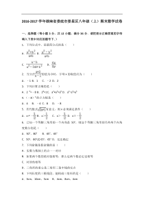 娄底市娄星区2016-2017学年八年级上期末数学试卷含答案解析