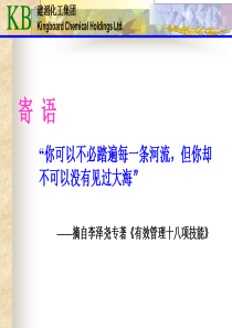 《有效管理十八项技能之企业执行力》——建滔