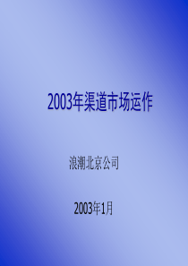 XXXX年浪潮北京公司渠道市场运作