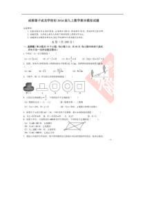 四川省望子成龙学校2014届九年级上期末考试数学试题及答案