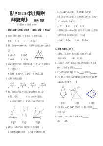 腾冲县第八中学2014-2015学年八年级上期中考试数学试题