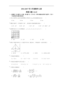 天津市西青区2016年12月23日八年级数学上周练习题及答案