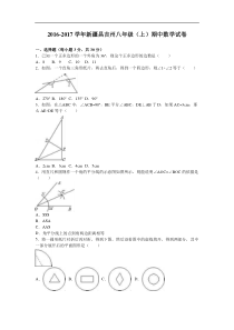 新疆昌吉州2016-2017学年八年级上期中数学试卷含答案解析