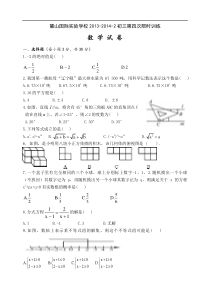 长沙市麓山国际实验学校2014年初三第四次月考试卷含答案