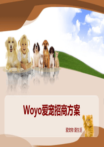 woyo爱宠宠物招商方案