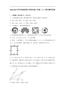 周口市扶沟县2016-2017学年八年级上期中数学试卷含答案解析