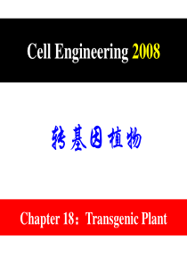 转基因植物