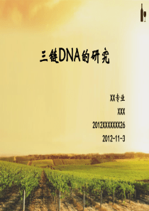 三链DNA