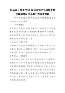 XX年审计检查及XX 年依法治企专项检查整改落实情况回头看工作自查报告